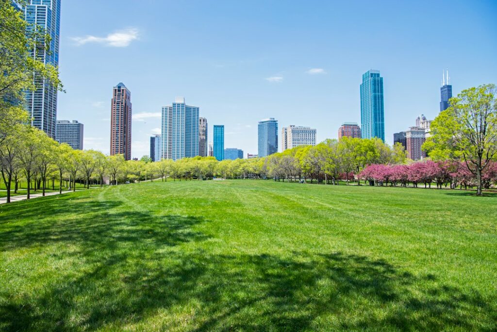 شہر میں سبز جگہ